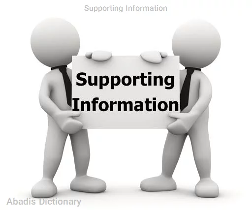 supporting information